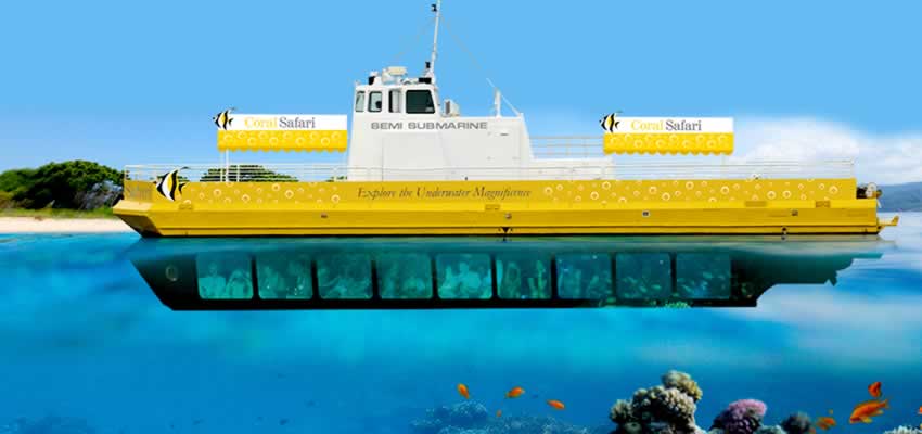 Coral Safari