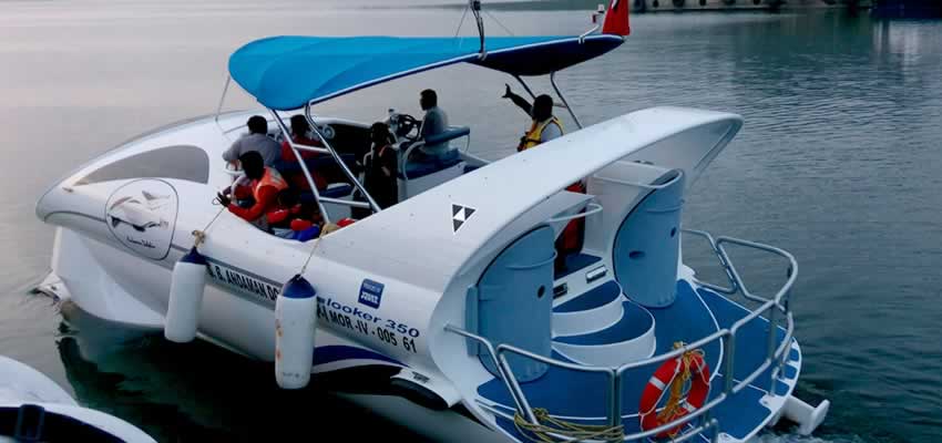 Dolphin Glass Bottom Boat