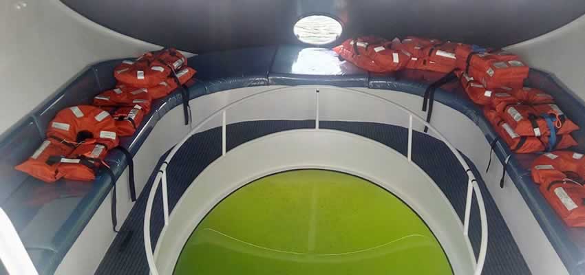 Dolphin Glass Bottom Boat