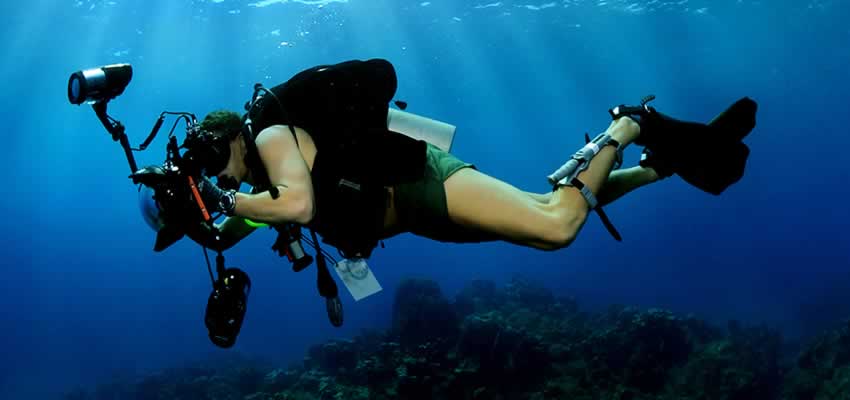 Scuba Diving