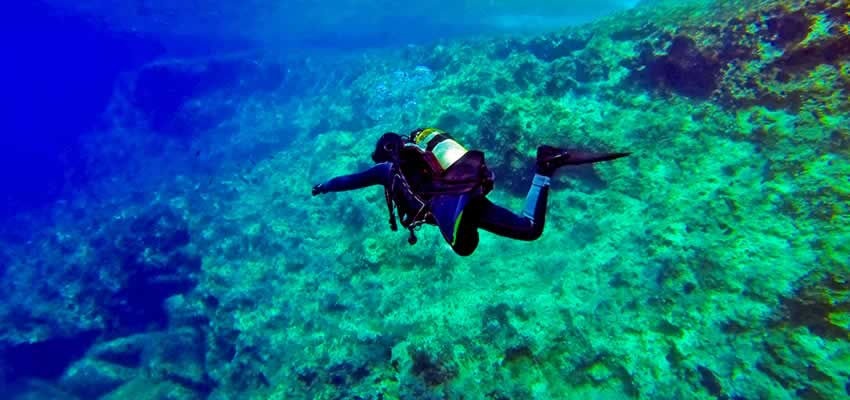 Scuba Diving
